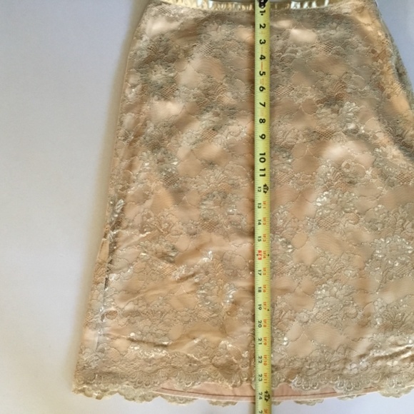 The Limited  Lace Pencil Skirt (new with tag) - Picture 4 of 4